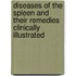 Diseases Of The Spleen And Their Remedies Clinically Illustrated