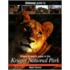 Getaway Guide To Where To Watch Game In The Kruger National Park