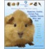 Hamsters, Gerbils, Guinea Pigs, Rabbits, Ferrets, Mice, and Rats
