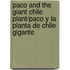 Paco and the Giant Chile Plant/Paco y La Planta de Chile Gigante