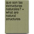 Que Son las Estructuras Naturales? = What Are Natural Structures