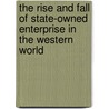 The Rise and Fall of State-Owned Enterprise in the Western World door P. Toninelli