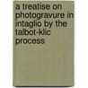 A Treatise On Photogravure In Intaglio By The Talbot-Klic Process door Herbert Denison
