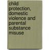 Child Protection, Domestic Violence And Parental Substance Misuse door Hedy Cleaver