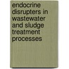 Endocrine Disrupters in Wastewater and Sludge Treatment Processes door John N. Lester