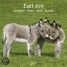 Esel / Donkeyes / Anes / Asini / Burros 2011. Broschürenkalender door Onbekend