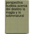 Perspectiva Budista Acerca del Destino La Magia y Lo Sobrenatural