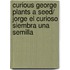 Curious George Plants a Seed/ Jorge El Curioso Siembra Una Semilla