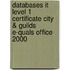 Databases It Level 1 Certificate City & Guilds E-Quals Office 2000