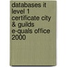 Databases It Level 1 Certificate City & Guilds E-Quals Office 2000 door Susan Ward