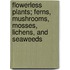 Flowerless Plants; Ferns, Mushrooms, Mosses, Lichens, And Seaweeds