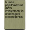 Human Papillomavirus (Hpv) Involvement In Esophageal Carcinogensis door Kari Syrjanen
