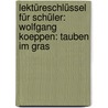 Lektüreschlüssel für Schüler: Wolfgang Koeppen: Tauben im Gras door Wolfgang Pütz