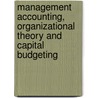 Management Accounting, Organizational Theory And Capital Budgeting by Robert W. Scapens