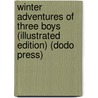 Winter Adventures Of Three Boys (Illustrated Edition) (Dodo Press) door Egerton R. Young