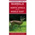 A Photographic Guide To Mammals Of North Africa And The Middle East