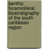 Benthic Foraminiferal Biostratigraphy of the South Caribbean Region door J.B. Saunders