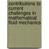 Contributions to Current Challenges in Mathematical Fluid Mechanics
