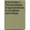 Gramineae Ii. Micrairoideae, Eragrostoideae, Oryzoideae. Olyroideae door Onbekend