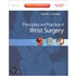 Principles And Practice Of Wrist Surgery [with Dvd And Access Code]