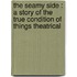 The Seamy Side : A Story Of The True Condition Of Things Theatrical