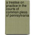 A Treatise On Practice In The Courts Of Common Pleas Of Pennsylvania