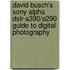 David Busch's Sony Alpha Dslr-A390/A290 Guide To Digital Photography