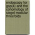 Endoscopy For Gsp(4) And The Cohomology Of Siegel Modular Threefolds