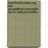 Kreditrisikomessung bei Projektfinanzierungen durch Risikosimulation