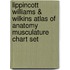 Lippincott Williams & Wilkins Atlas of Anatomy Musculature Chart Set