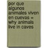 Por Que Algunos Animales Viven en Cuevas = Why Animals Live in Caves