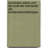 Schüssler-Salze und die Kraft der Elemente als Kombinationstherapie door Berndt Rieger