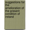Suggestions For The Amelioration Of The Present Condition Of Ireland by Montague Gore