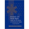Economic and Social Rights Under the Eu Charter of Fundamental Rights door Onbekend