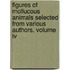Figures Of Mollucous Animals Selected From Various Authors, Volume Iv