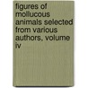 Figures Of Mollucous Animals Selected From Various Authors, Volume Iv door Maria Emma Smith Gray