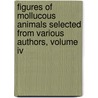 Figures Of Mollucous Animals Selected From Various Authors, Volume Iv by Maria Emma Smith Gray