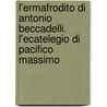 L'Ermafrodito Di Antonio Beccadelli. L'Ecatelegio Di Pacifico Massimo door Pacifico Massimo