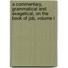 A Commentary, Grammatical And Exegetical, On The Book Of Job, Volume I by Andrew Bruce Davidson