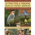 An  Illustrated Practical Guide to Attracting & Feeding Backyard Birds