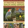 An  Illustrated Practical Guide to Attracting & Feeding Backyard Birds door Jen Green