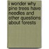I Wonder Why Pine Trees Have Needles And Other Questions About Forests