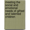Meeting The Social And Emotional Needs Of Gifted And Talented Children door Michael Stopper
