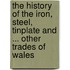 The History Of The Iron, Steel, Tinplate And ... Other Trades Of Wales