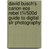 David Busch's Canon Eos Rebel T1i/500d Guide To Digital Slr Photography by David Busch