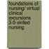 Foundations of Nursing/ Virtual Clinical Excursions 3.0-Skilled Nursing