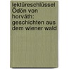 Lektüreschlüssel Ödön von Horváth: Geschichten aus dem Wiener Wald door ÖdöN. Von Horváth