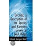 Orchids; A Description Of The Species And Varieties Grown At Glen Ridge door Edward Sprague Rand