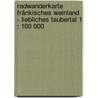 Radwanderkarte Fränkisches Weinland - Liebliches Taubertal 1 : 100 000 door Onbekend
