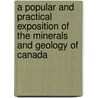 A Popular And Practical Exposition Of The Minerals And Geology Of Canada door Edward John Chapman